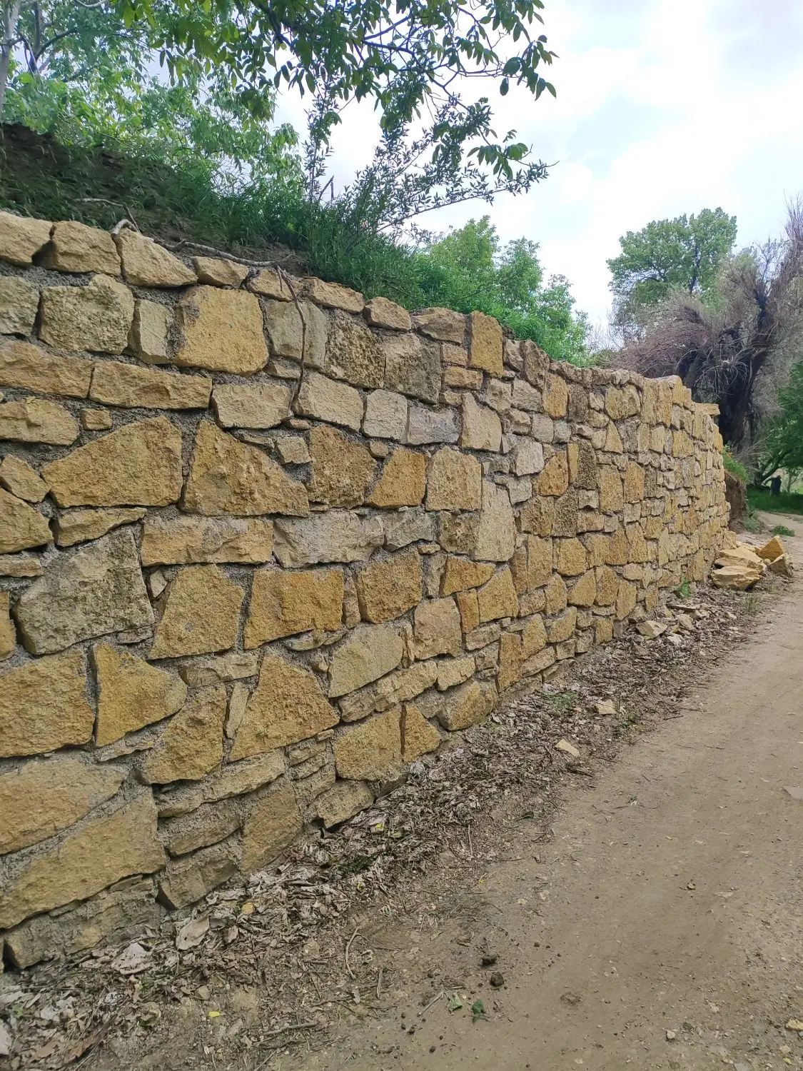 باغ در روستای توریستی ورکانه