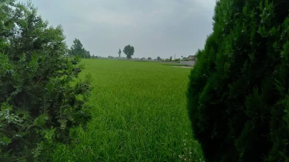 یه زمین برای یه فرصت عالی