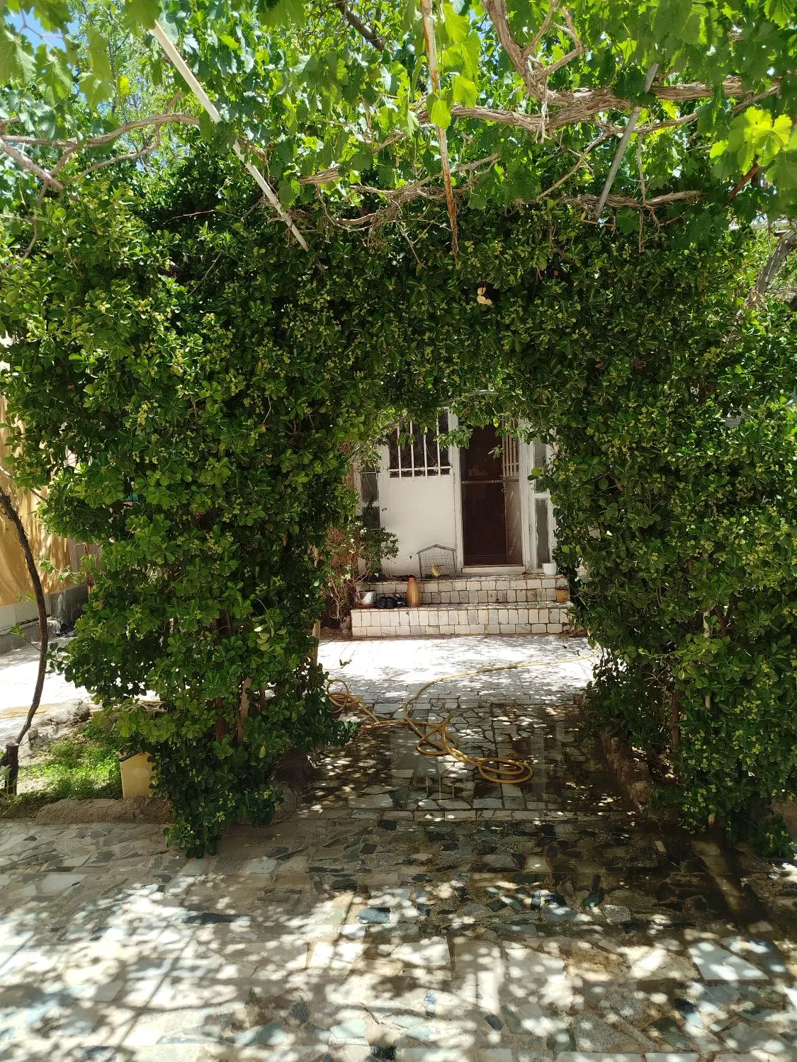 باغ منزل داخل شهر مناسب خانواده پرجمعیت