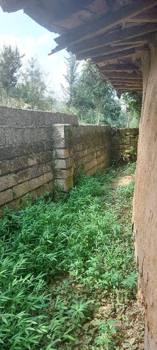 خانه ویلایی بتنی و سنتی
