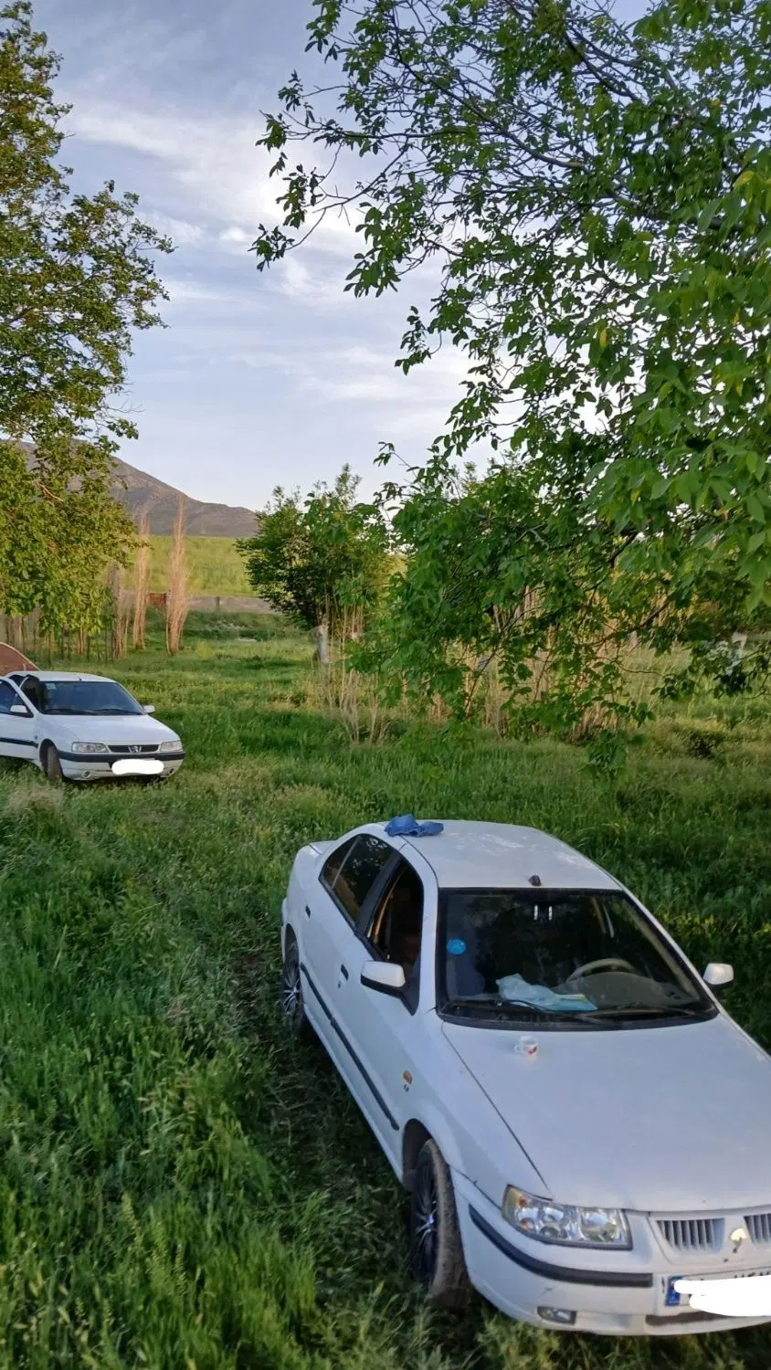 فروش زمین کشاورزی در بیرانشهر
