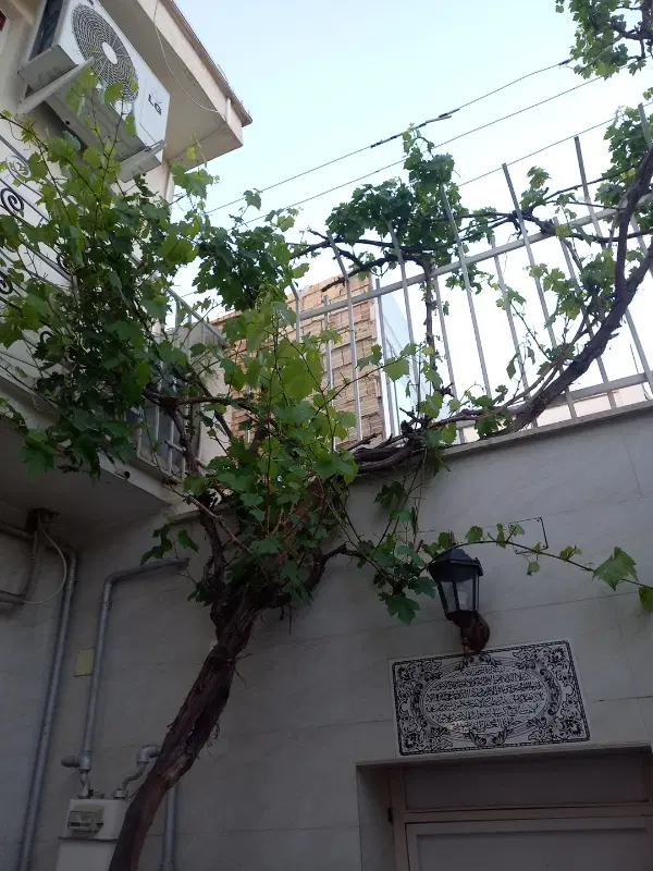 حیاط دو طبقه عروسک تیرآهن نو ساخت