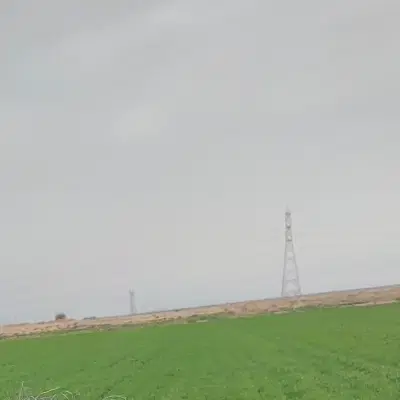 ۱۶ هکتار زمین کشاورزی