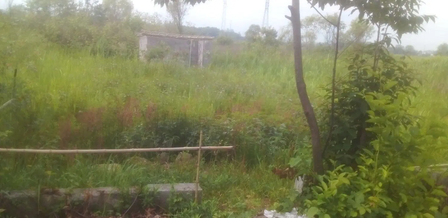 ۱۶۰متر زمین کلاچای