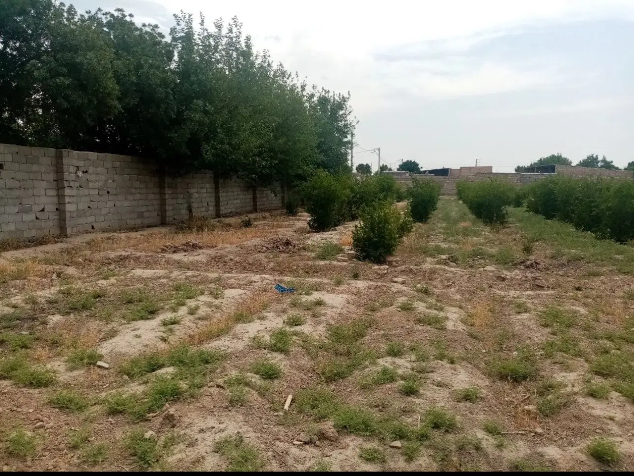 سه هزاروپانصد متر چهاردیواری  بر ۱۰۰ متر