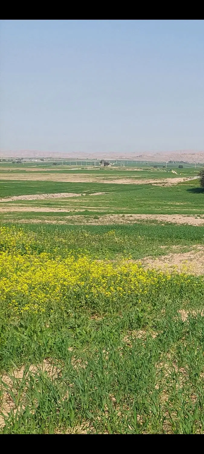 اجاره ۱۵ هکتار زمین ابی