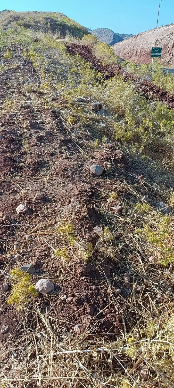 زمین کشاورزی