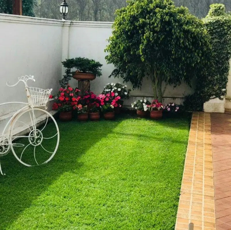 یک سهم اب قنات به همراه تعدادی زمین کشاورزی