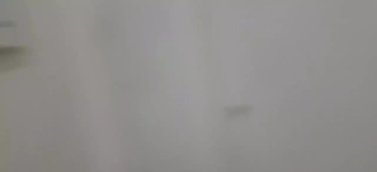 یک خواب نمایشگاه