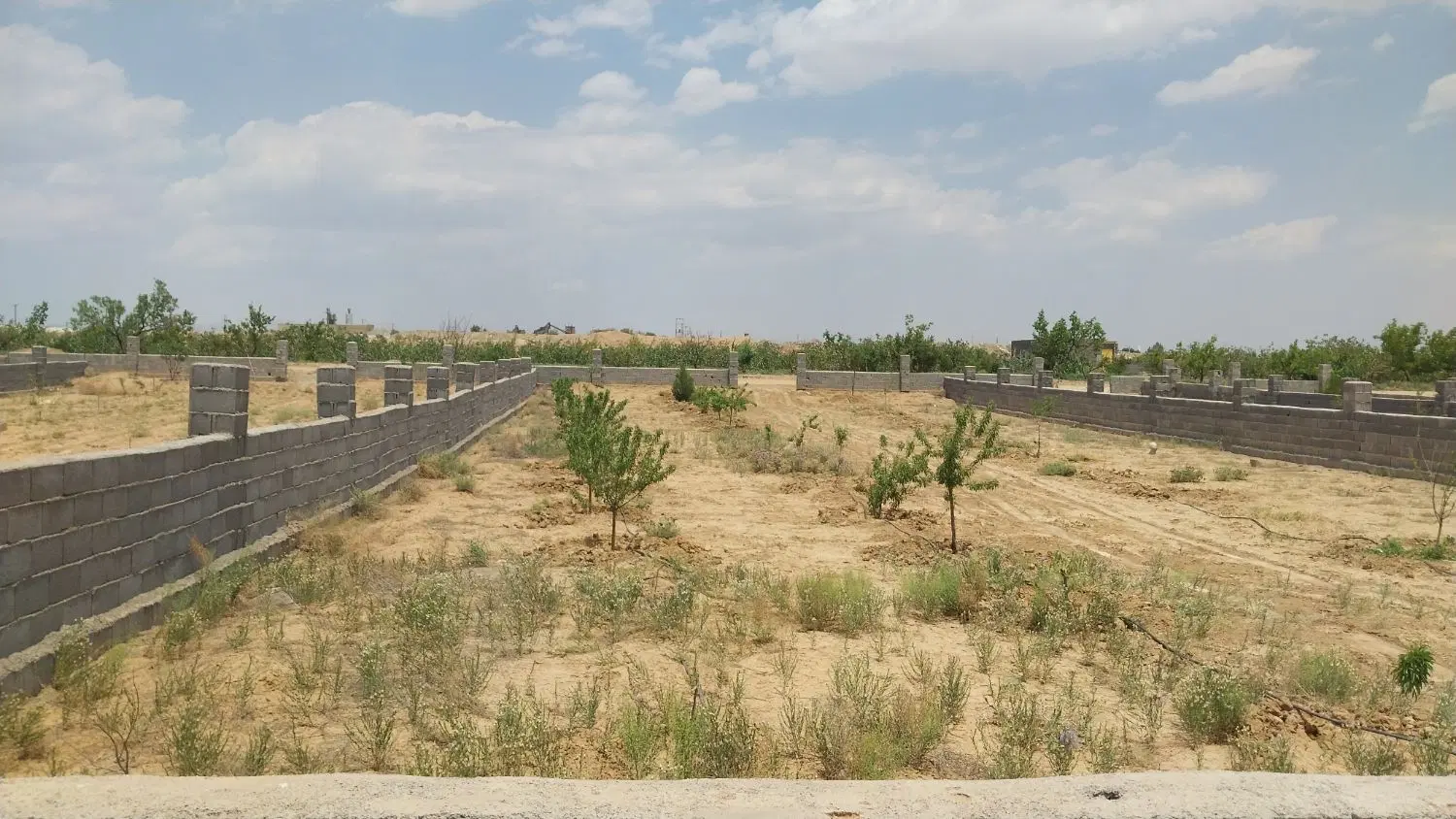 زمین باغی
