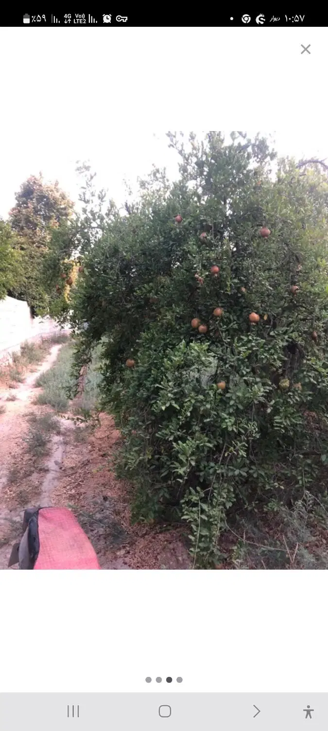 فروش باغشهری واقع در دوباغ