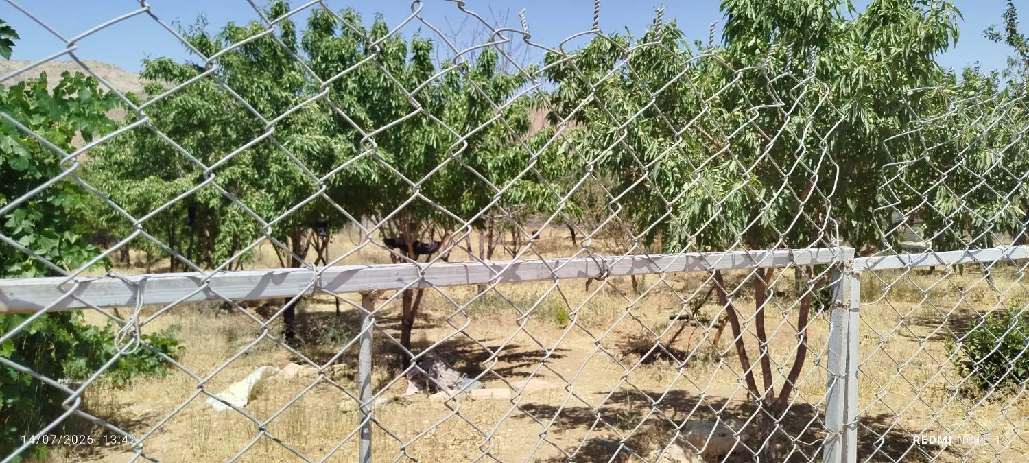 فروش باغ