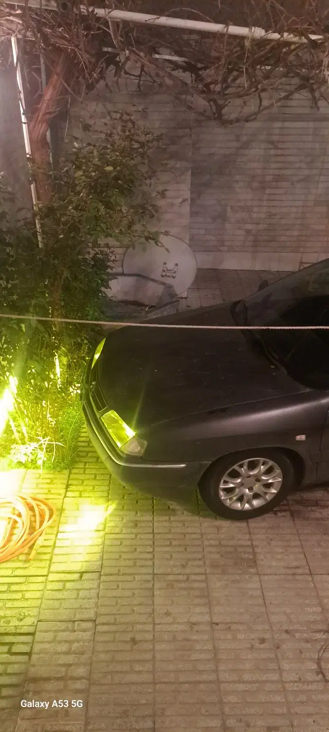 همخونه شراکتی ،رفاقتی ،