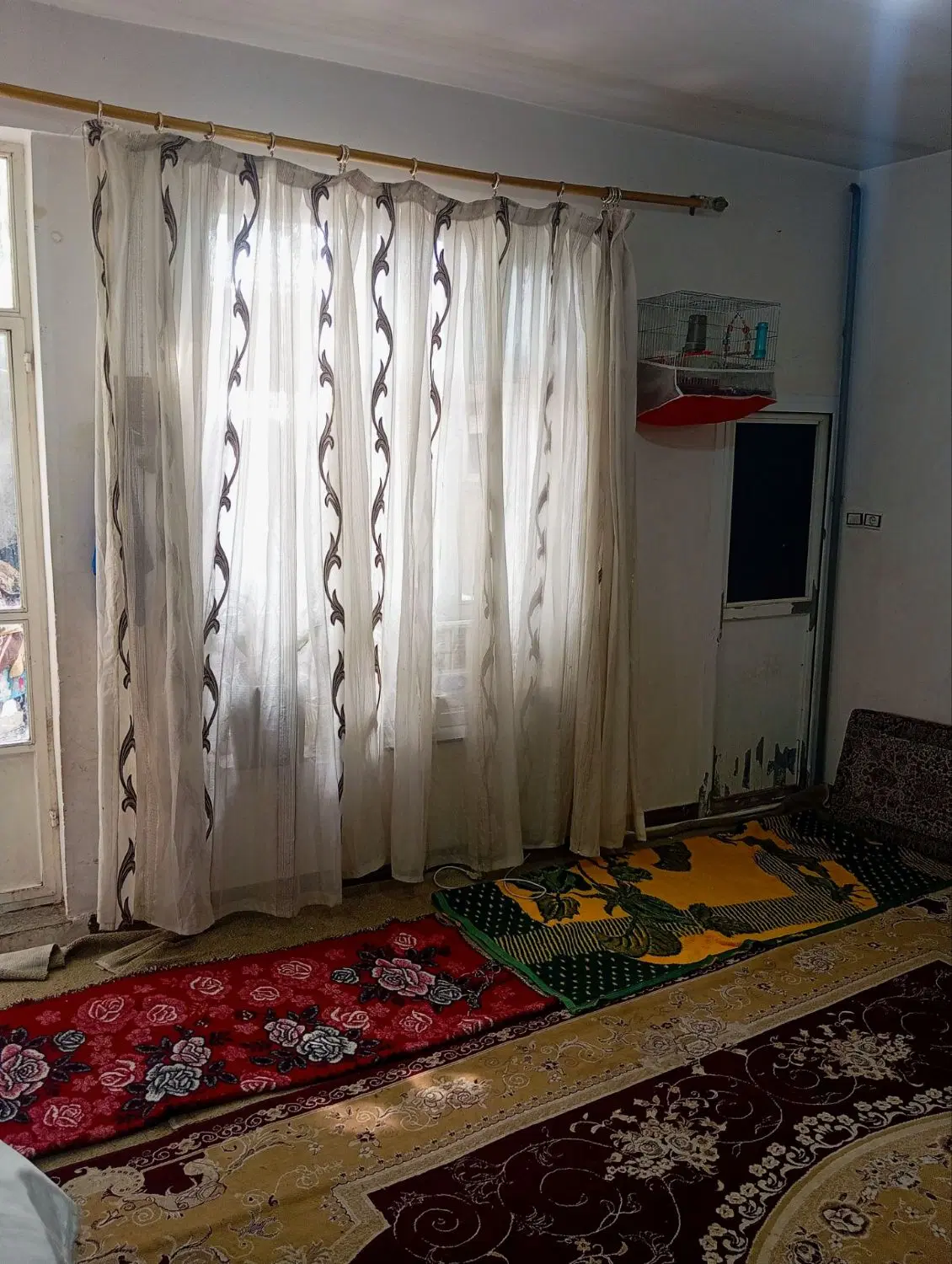 حیاط 50متری باغ معروف آخر گلشن سه