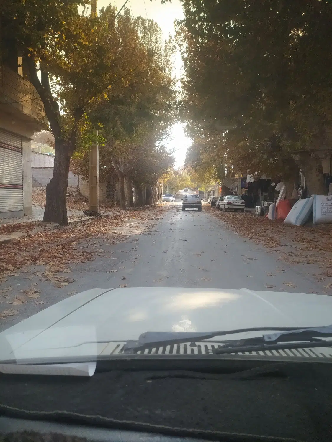 کرایه مغازه