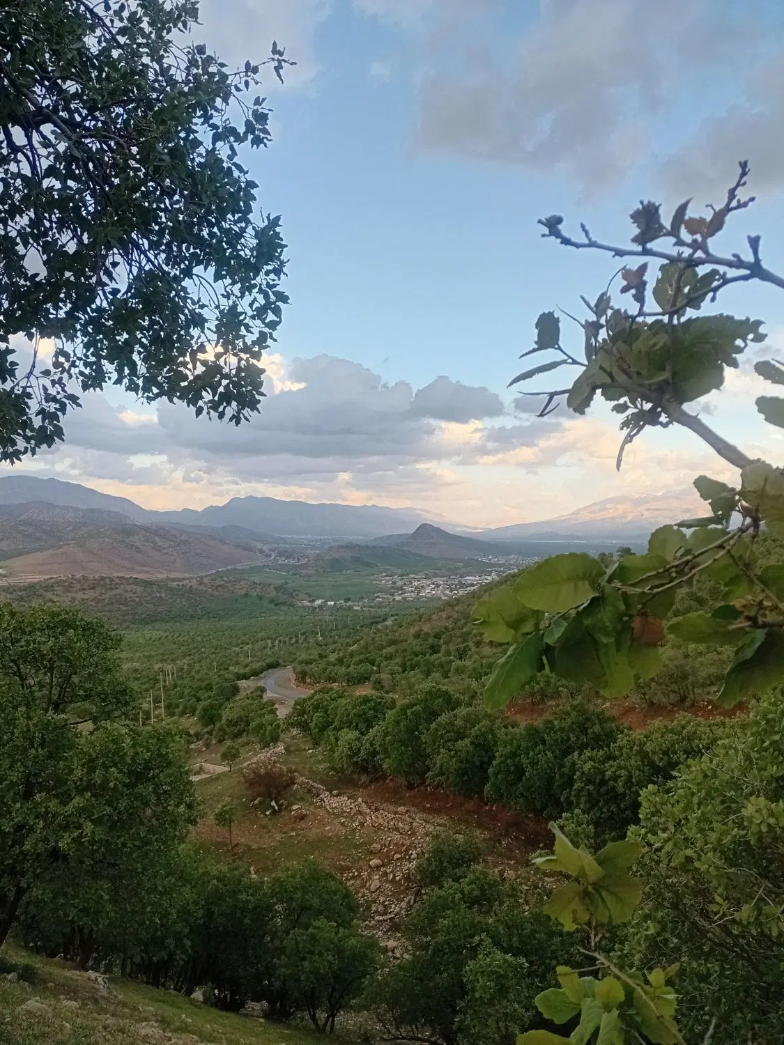 ۲۰۰ متر زمین باغنار میلاس