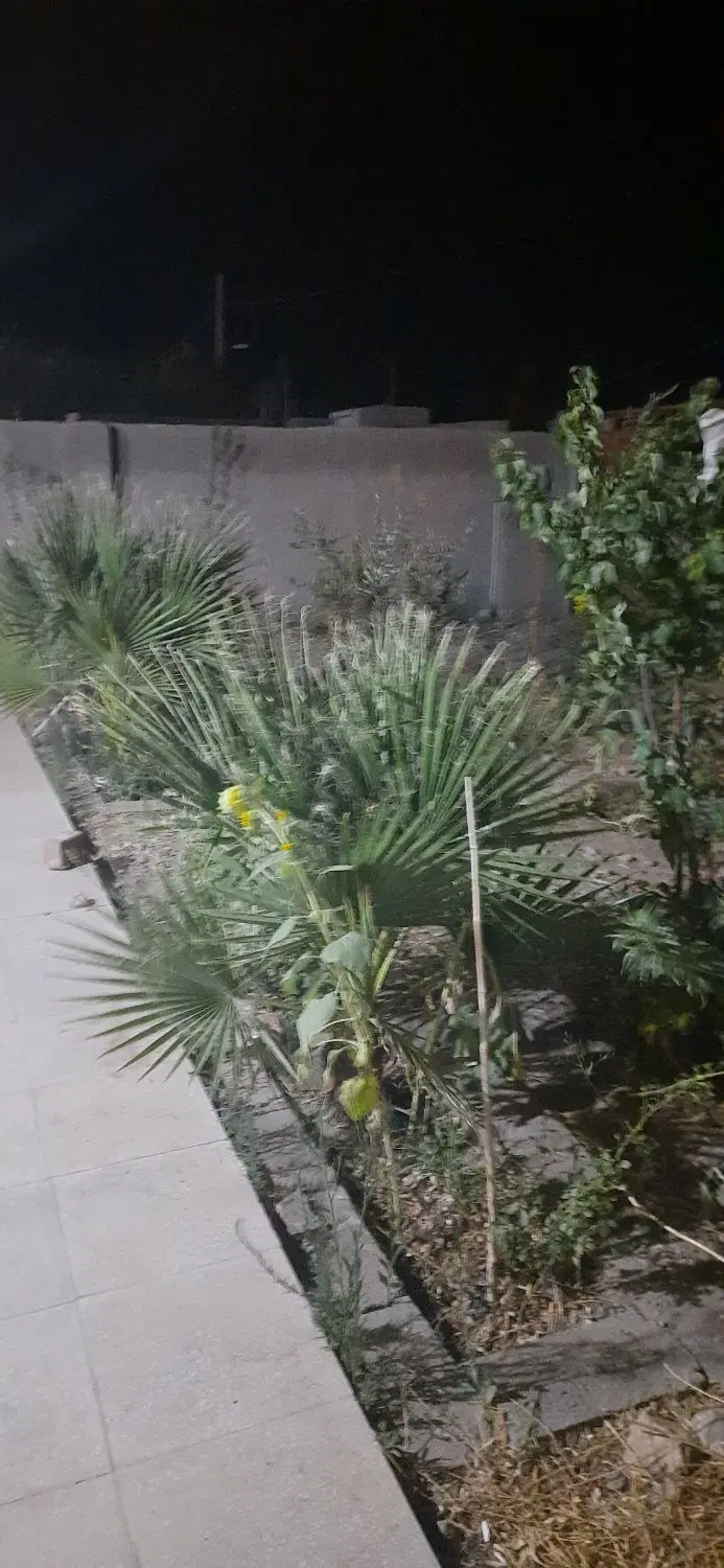 خانه ریحانشهر