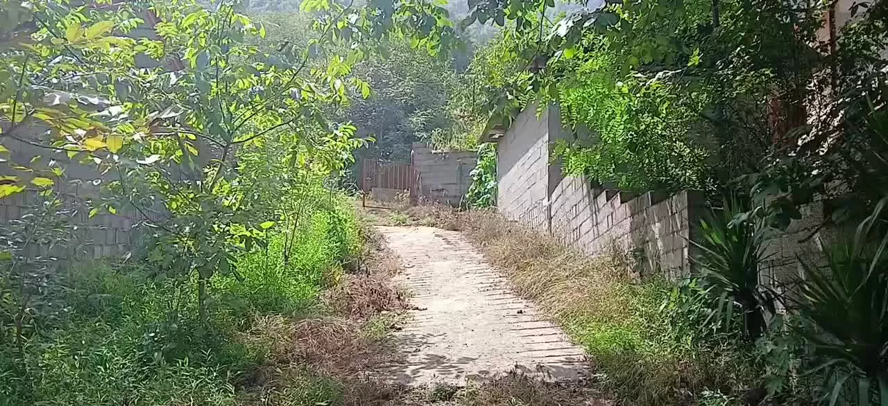 فروش خانه روستای دل جنگل