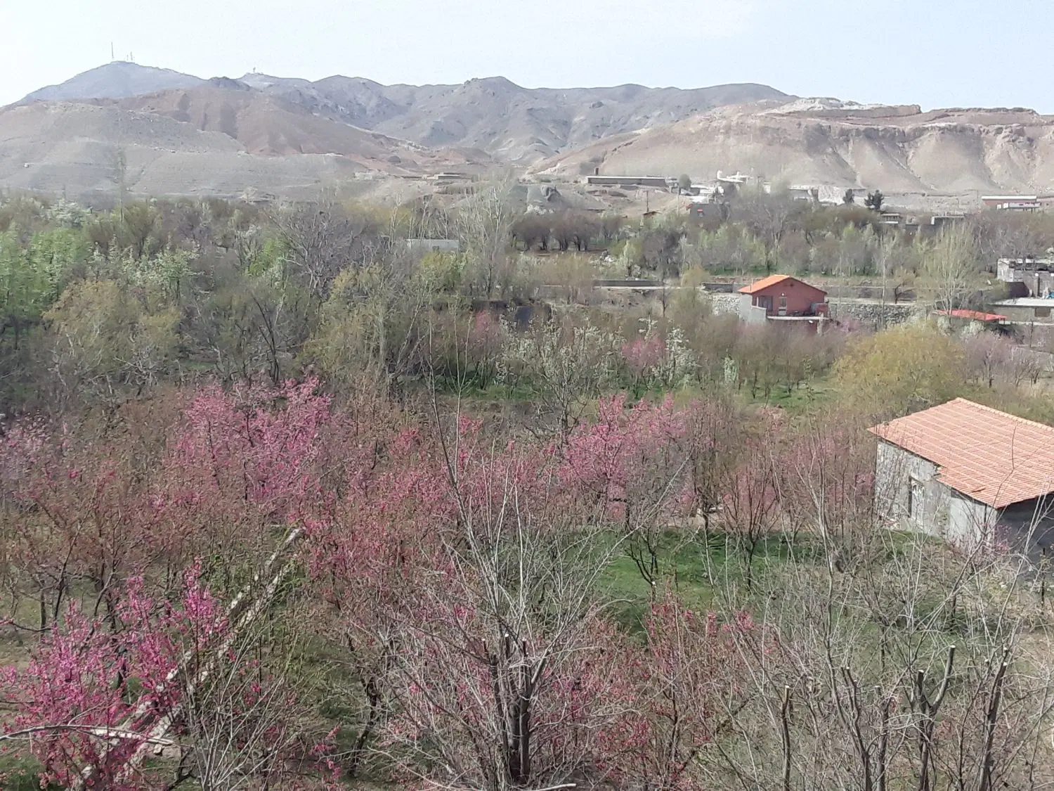دو واحدی ییلاقی