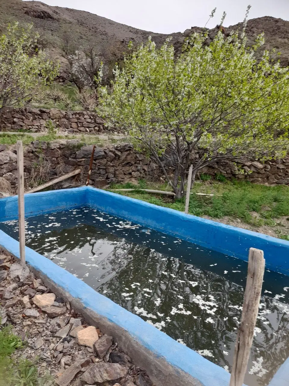 باغ سند دار