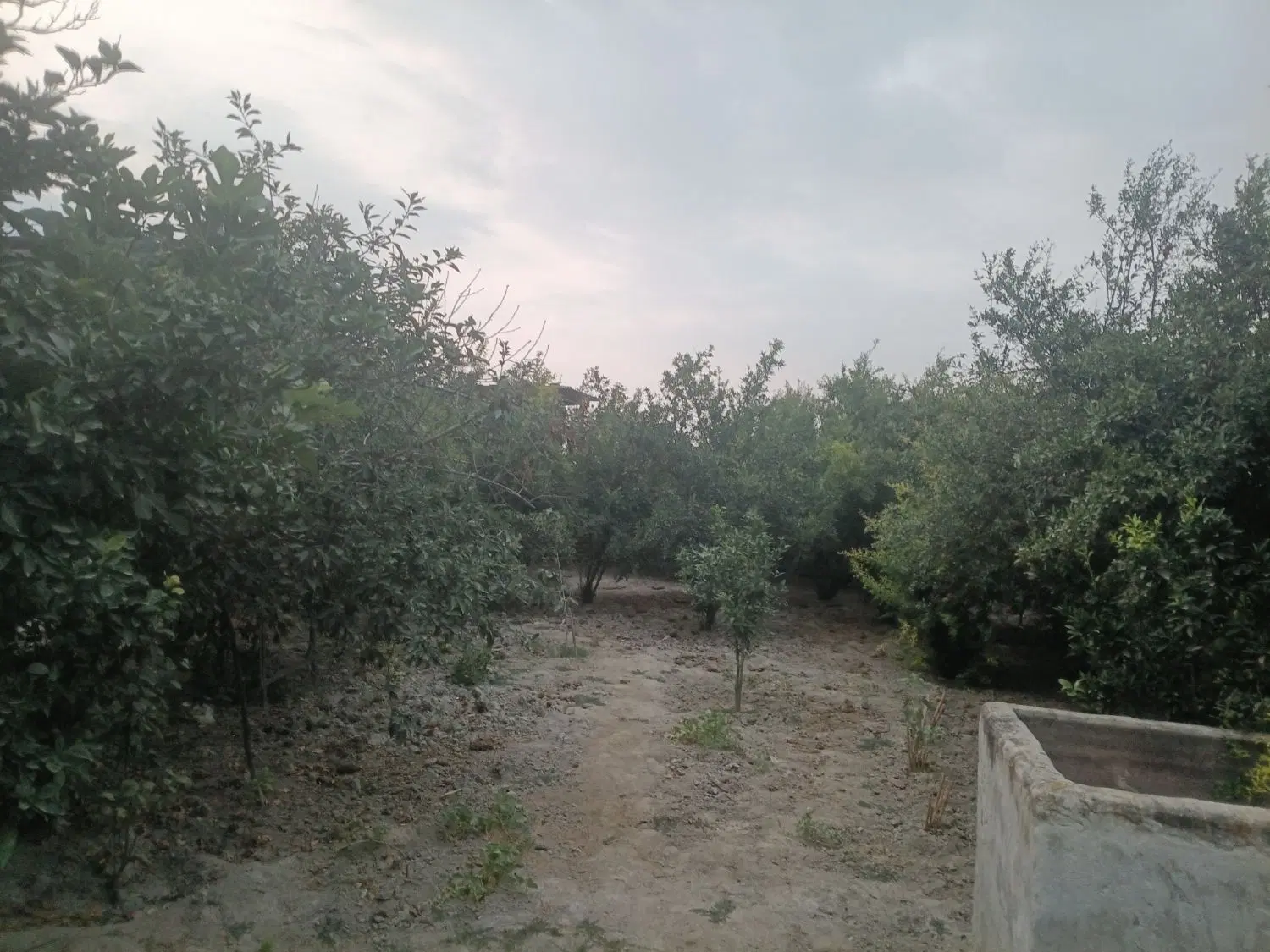 فروشه خونه باغ