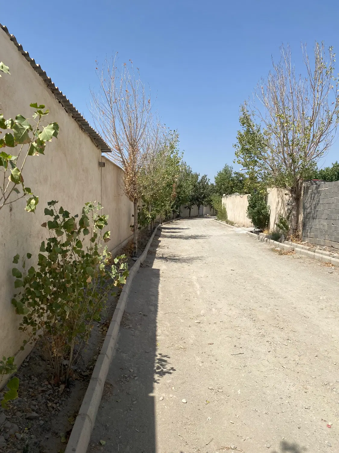 چهار دیواری باغ