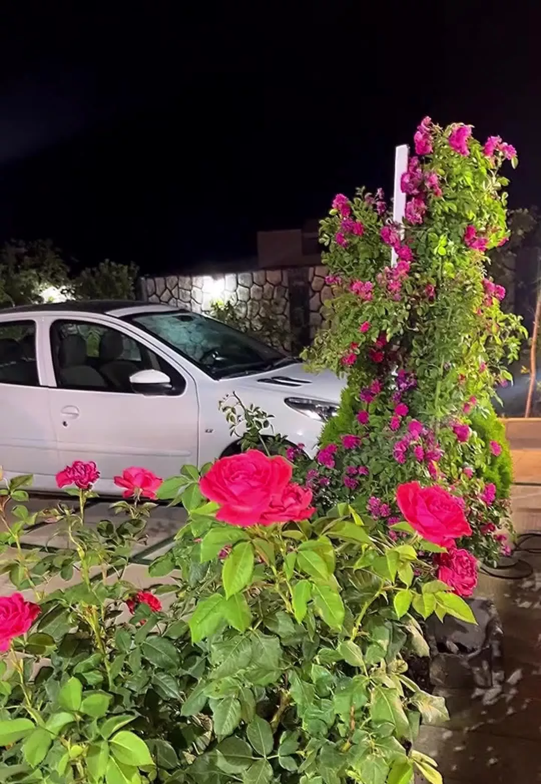 ویلا سیس علیشاه