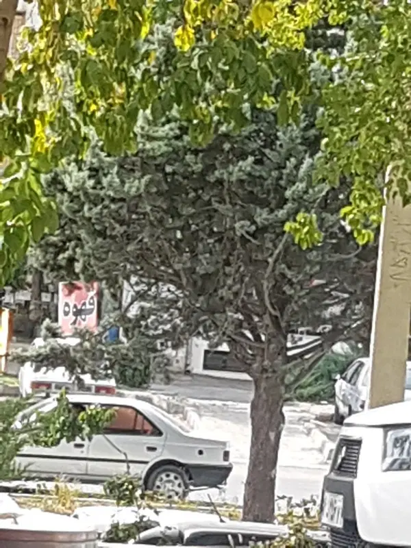 اجازه منظریه