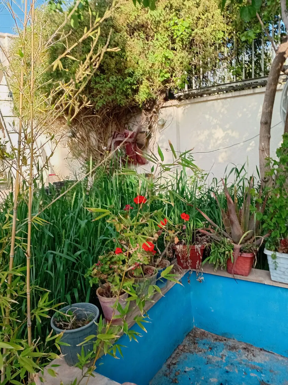 منزل برای انبار