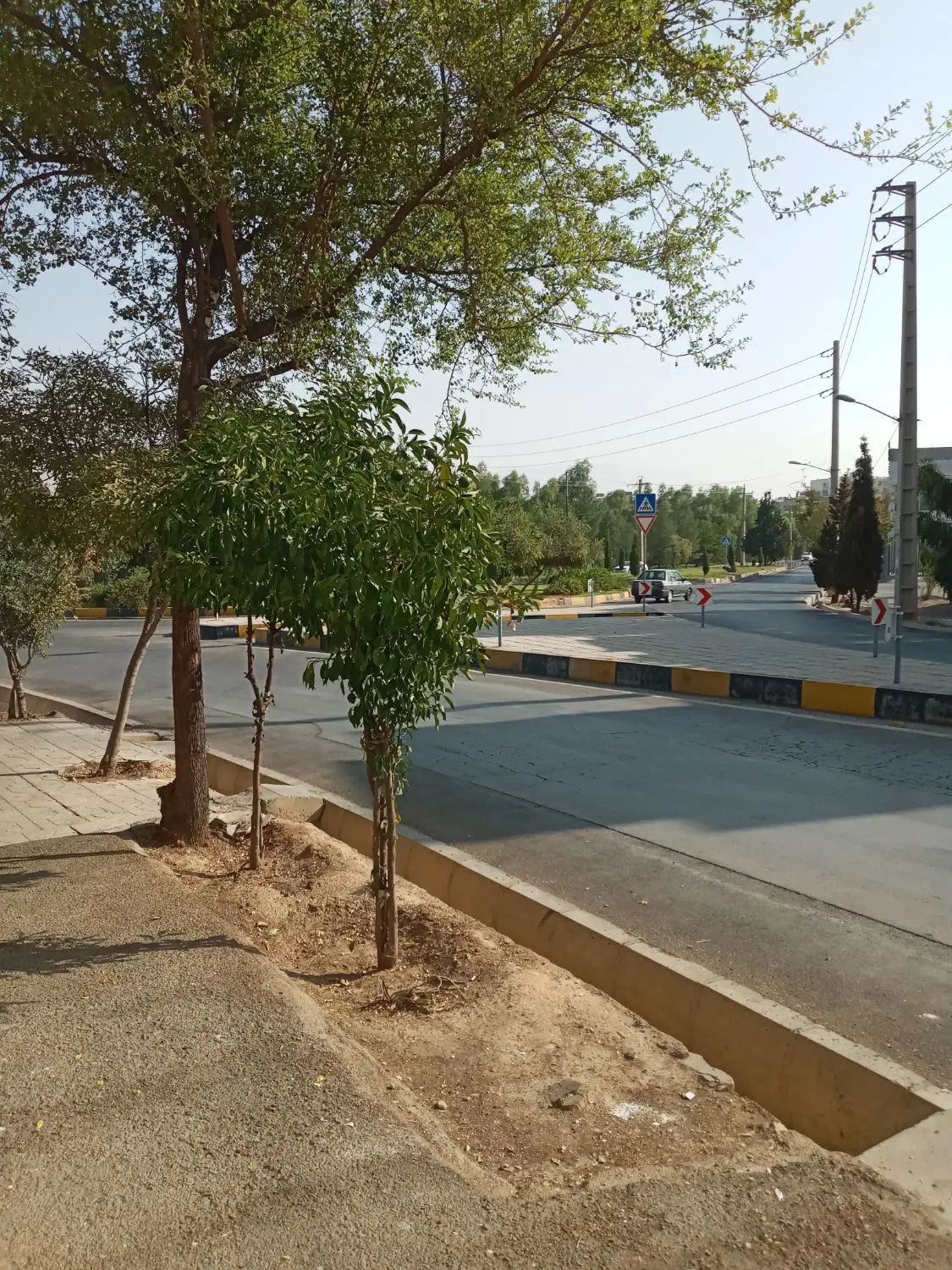 رهن و اجاره مغازه تجاری