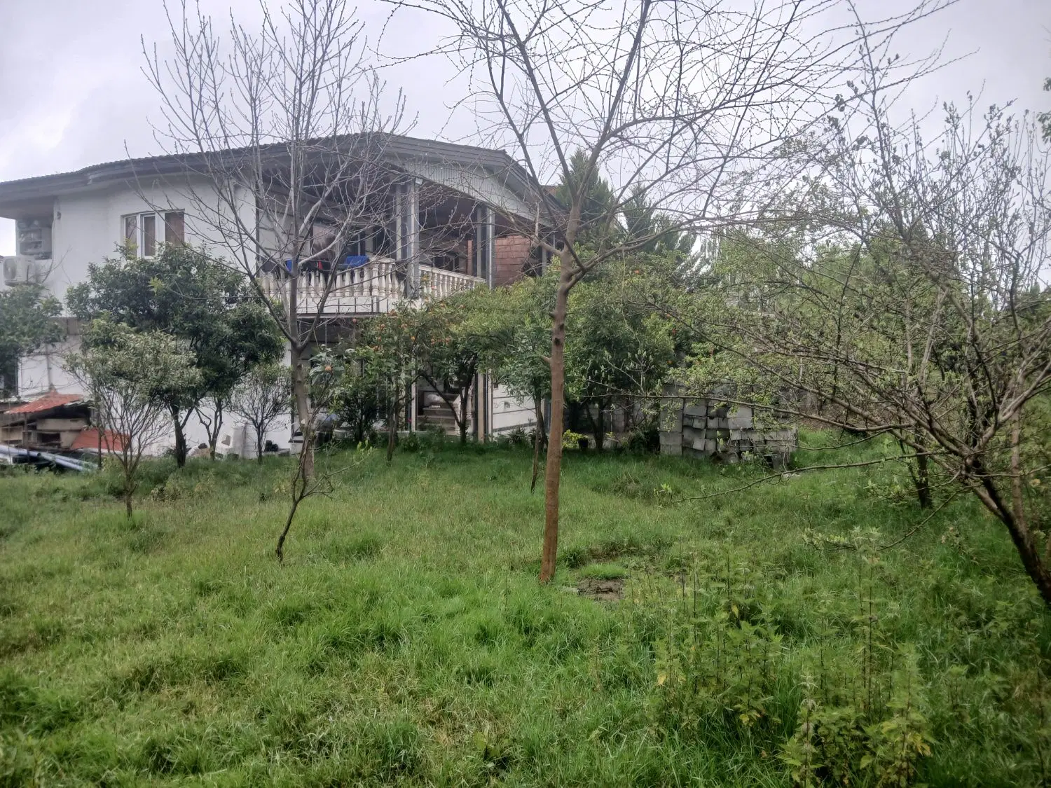 اجاره خانه ویلا حیاط دار کنار جنگل