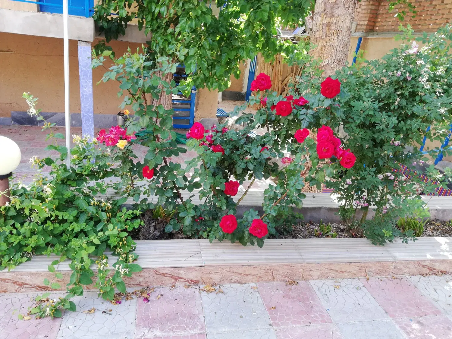 باغ ویلا با جوی آب دائم ده بالا