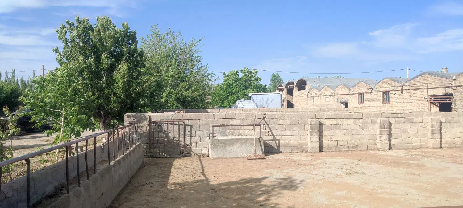 دامداری واقع در کوی تقی آباد