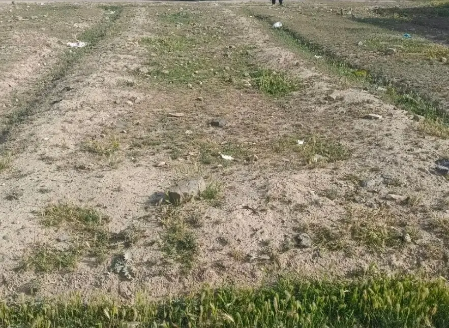 زمین در شهرک الهیه