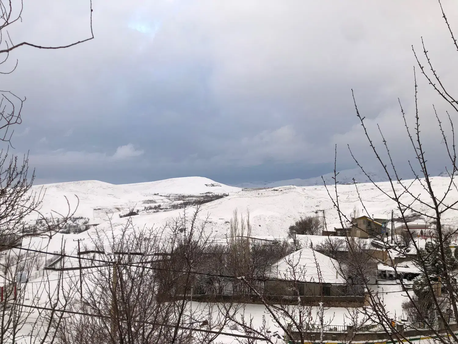 زمین و باغ