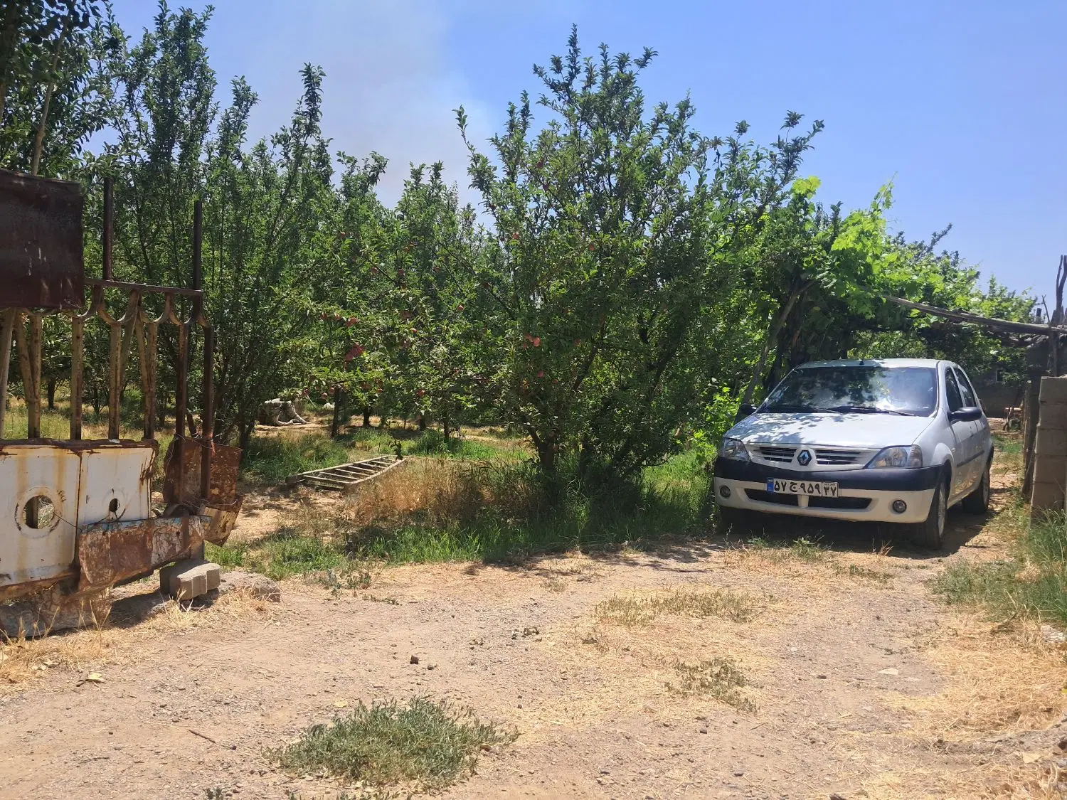 باغ میوه چسبیده به شهر