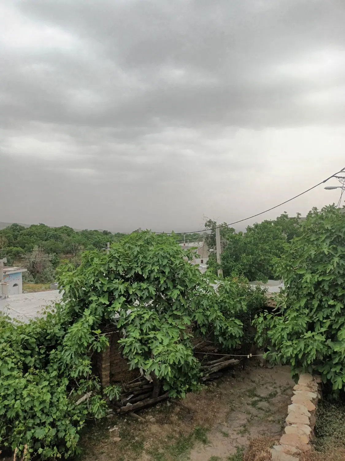 زمین مسکونی