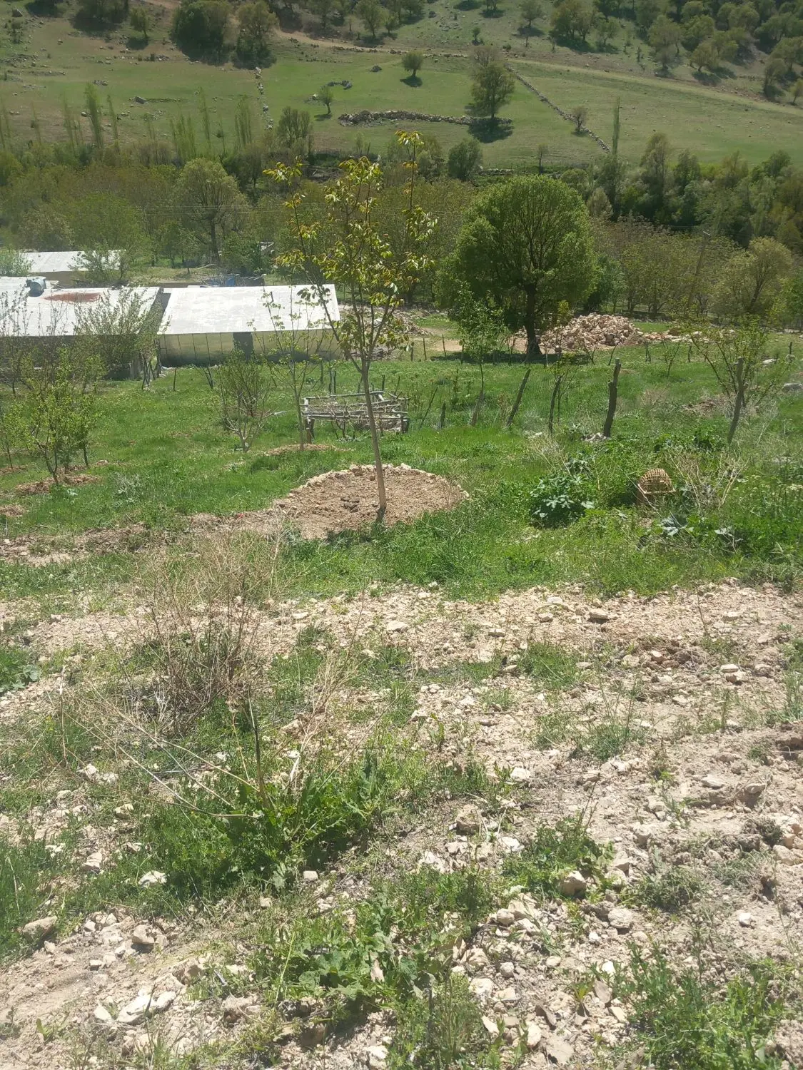 خانه وباغ در روستا