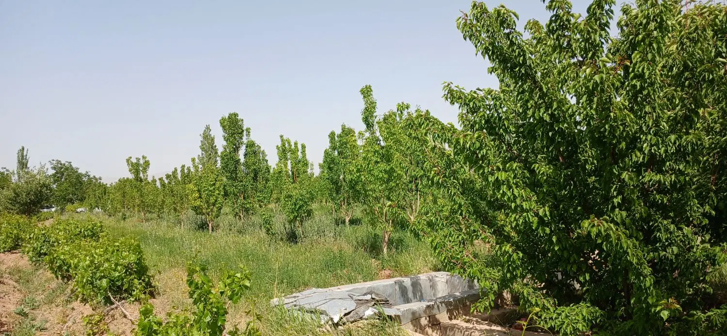 زمین کشاورزی