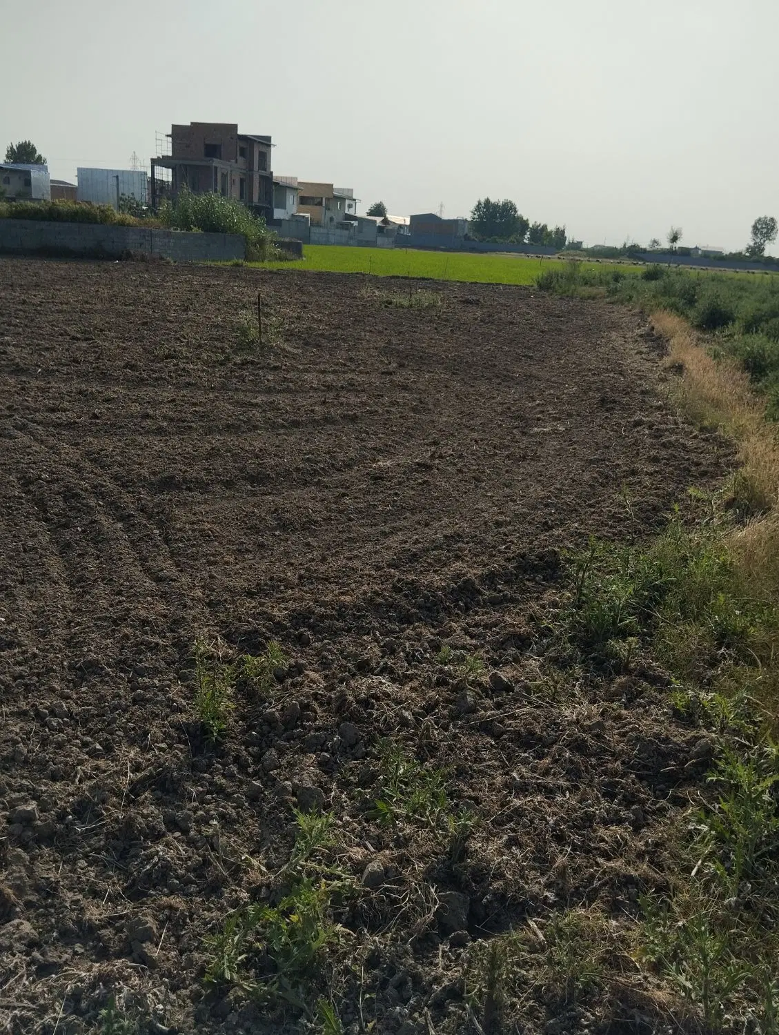 زمین مسکونی