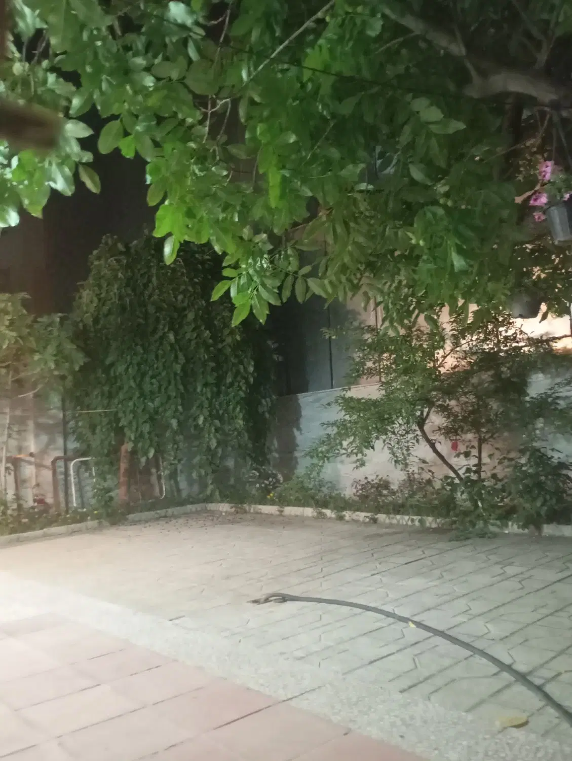 230متر ویلایی_حیاط باغ دار_ جنوبی_ تختی