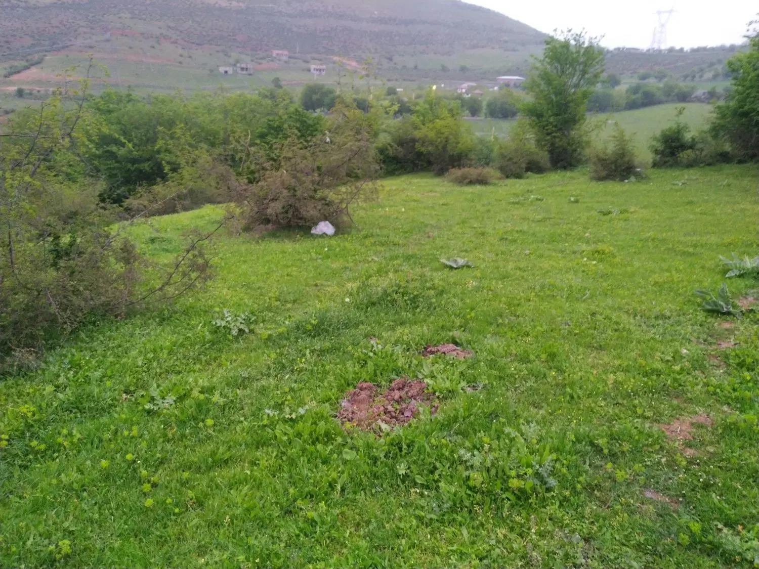 زمین حاشیه بافت میرسم و بسطام ۱۱۴۹ متر
