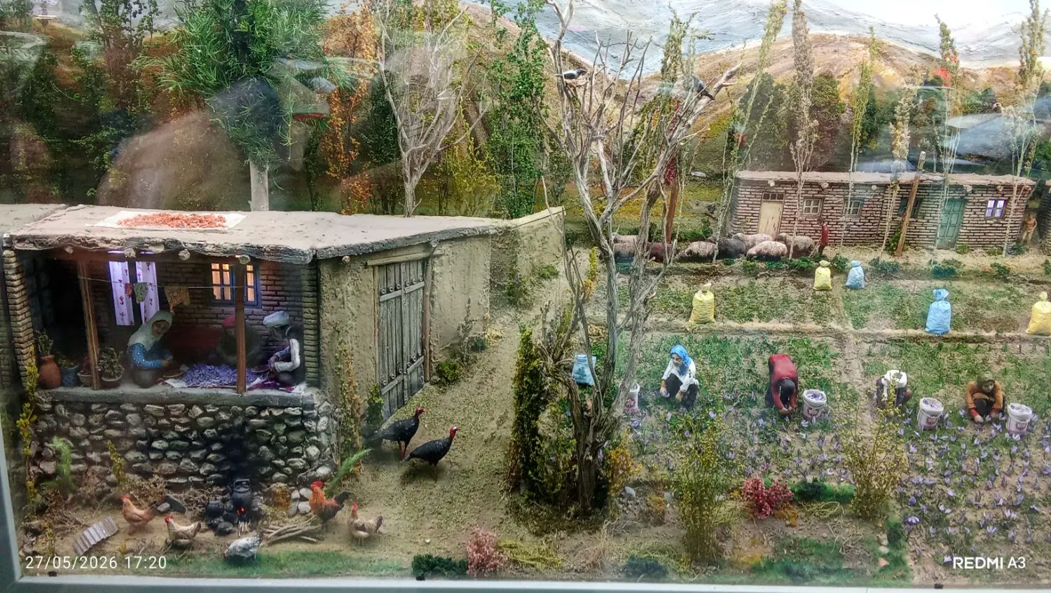 زمین فروشی