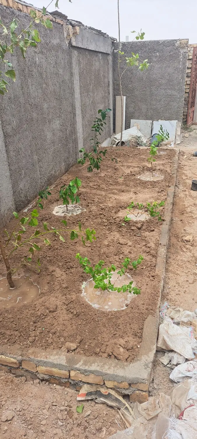 خونه باغ شیرآباد