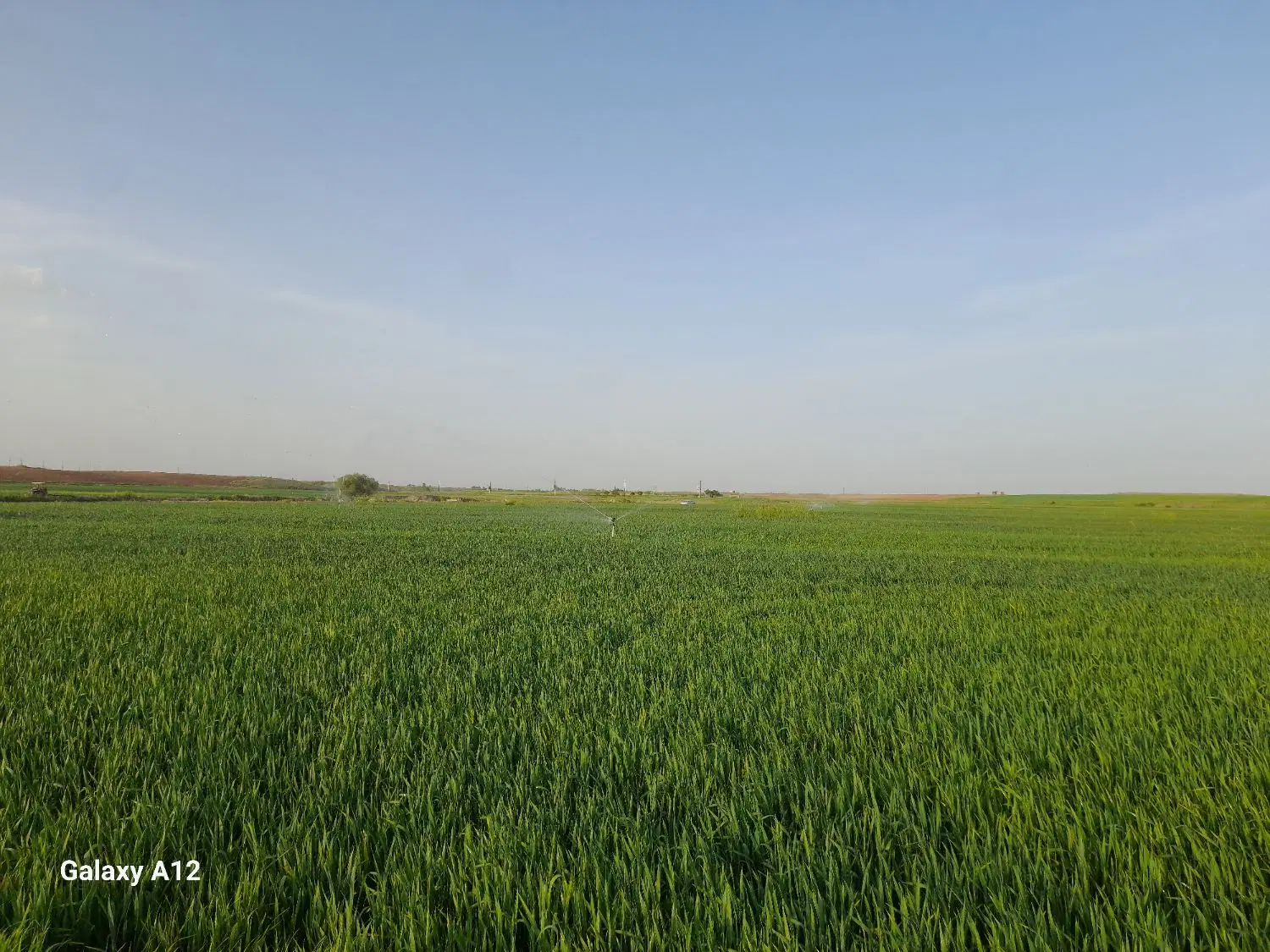 زمین کشاورزی