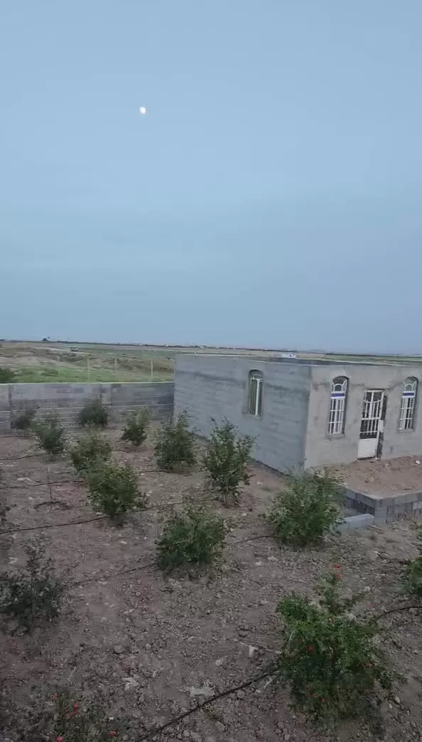 باغ چاردیواری