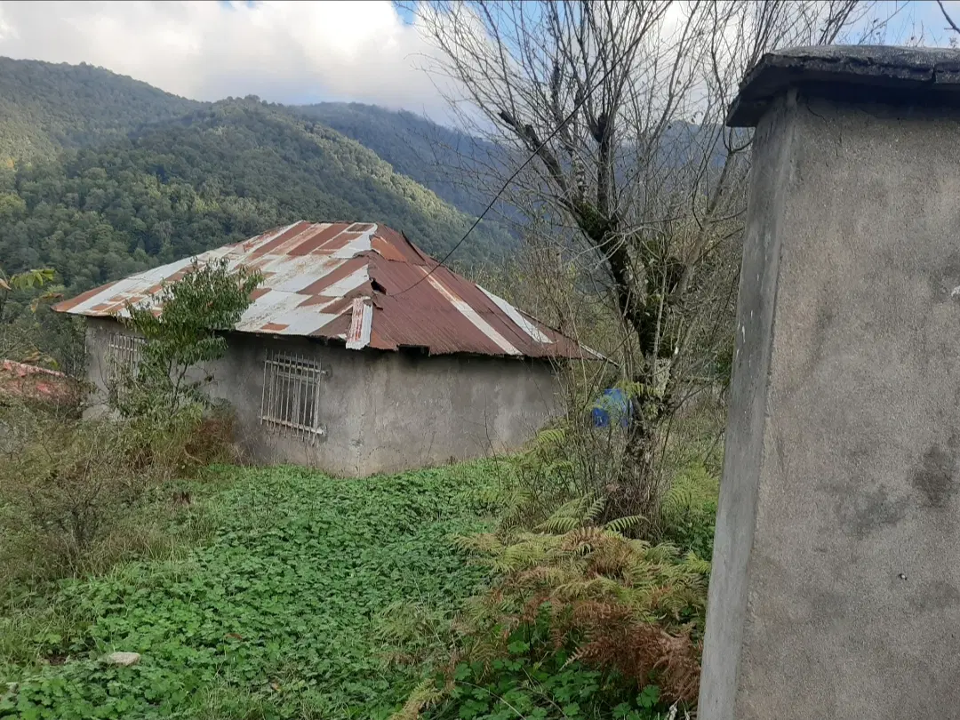 زمین در ییلاق روشنده