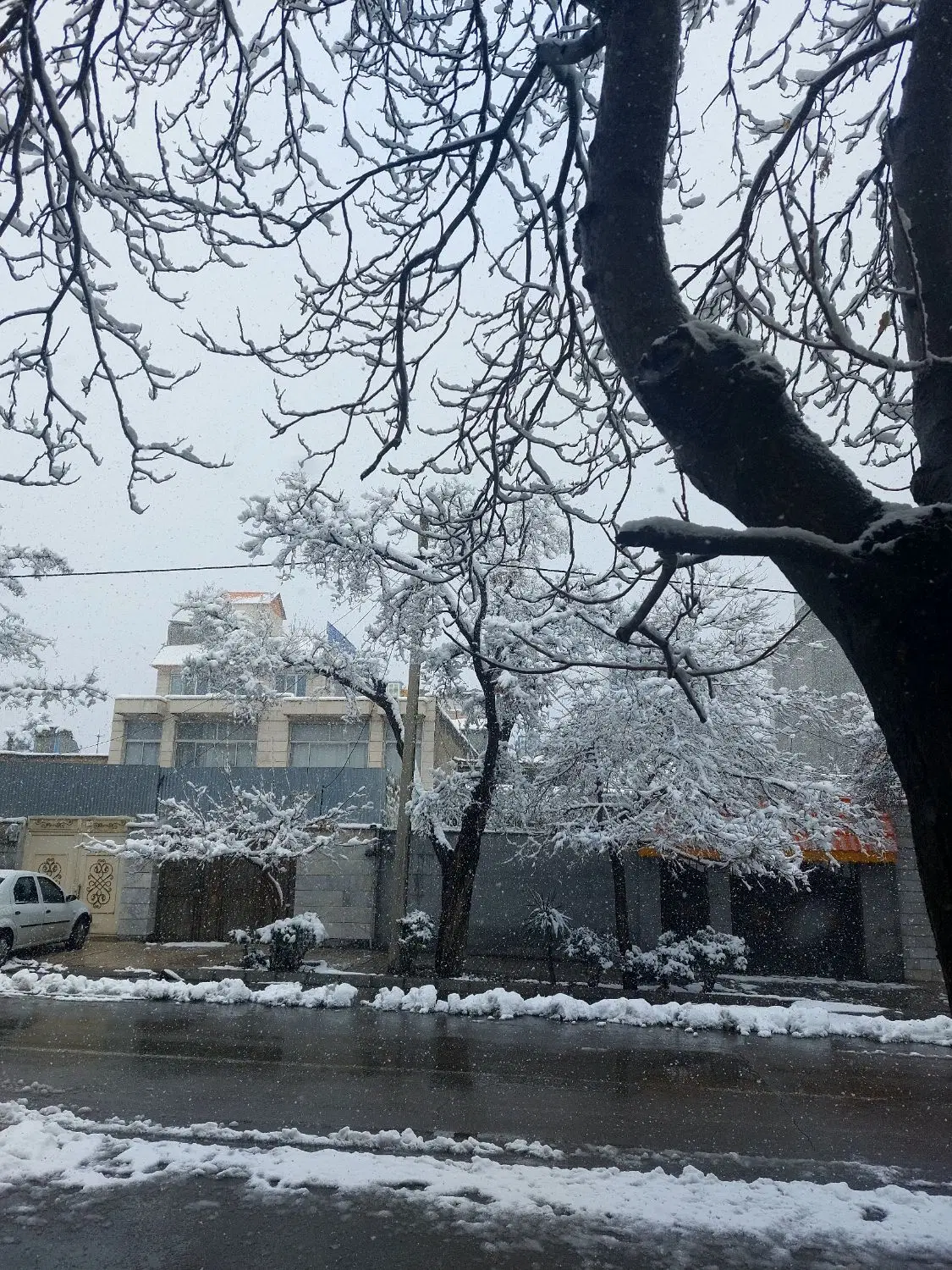 خونه ویلایی