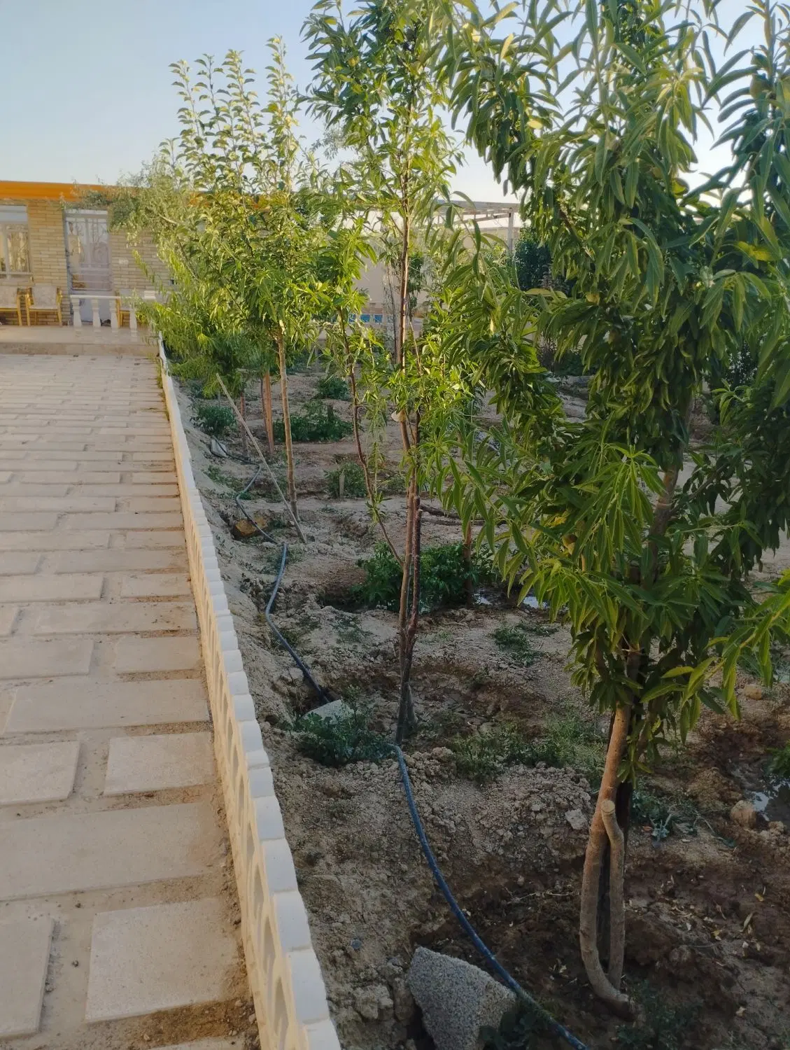 باغچه ۳۳۵ متری با صفا