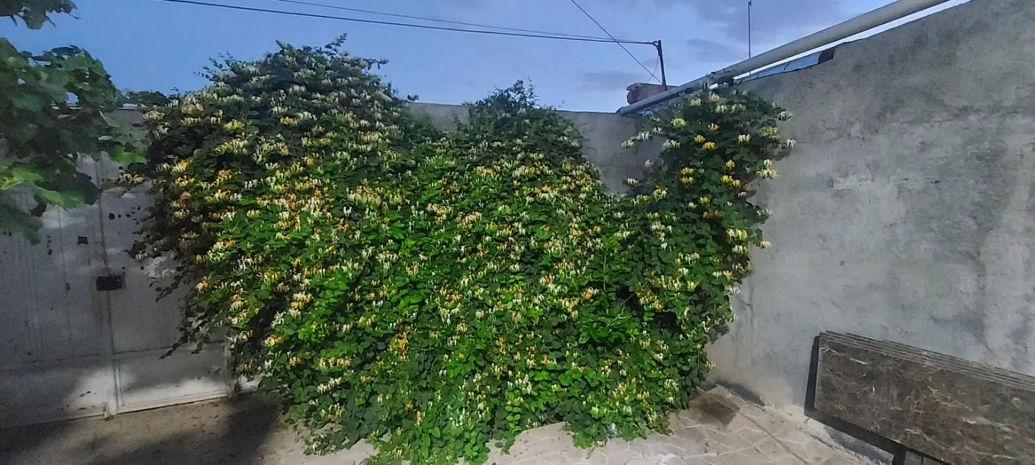 خانه ۱۲۰ متری امیرآباد خیابان ساحل